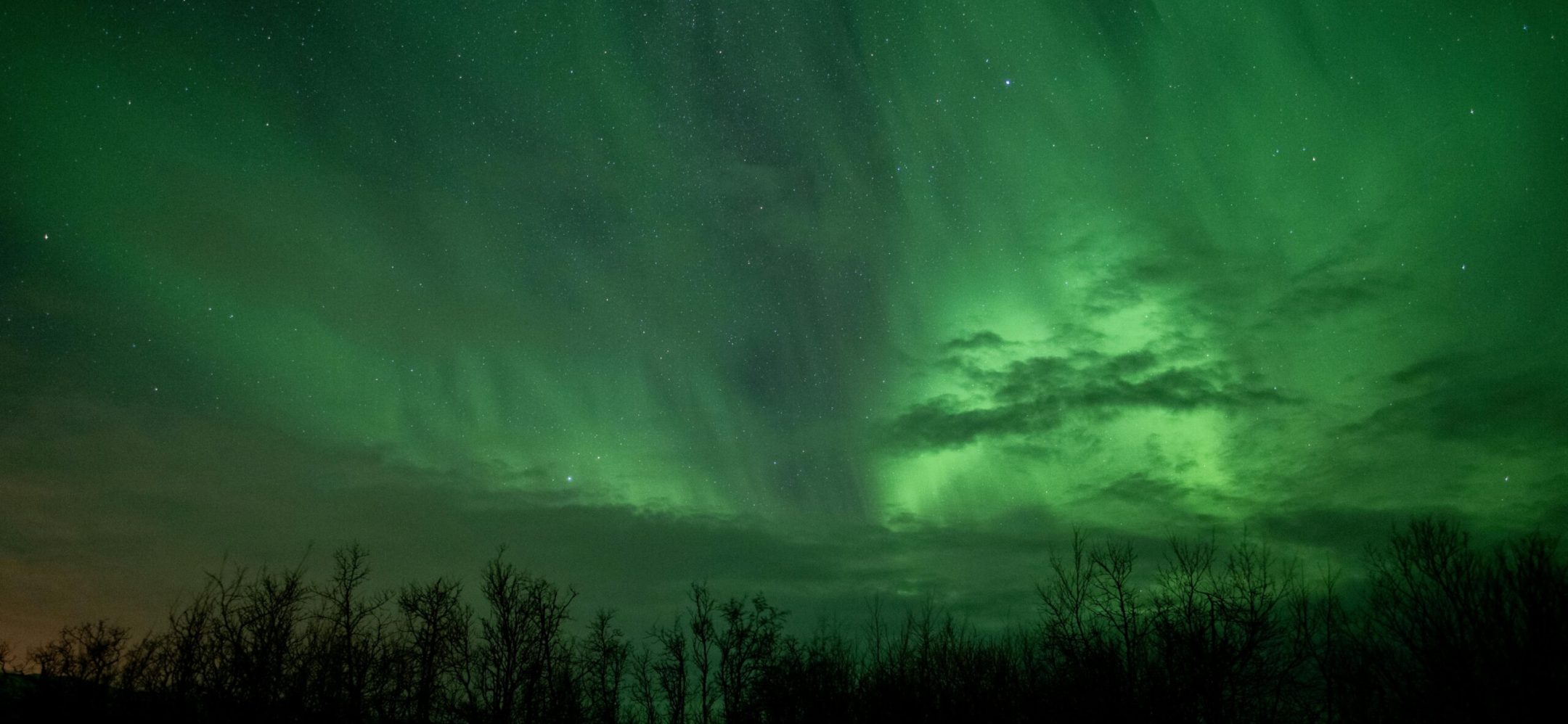 Stunning aurora borealis lights up the night sky over Dåfjord, exhibiting a celestial spectacle.